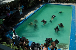 In the pool