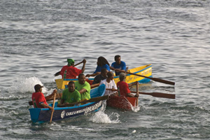 Kubuli races