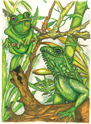 Where the Green Things Are