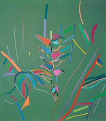 Hanging Heliconia
