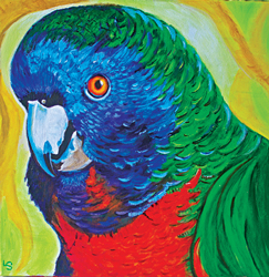 Jaco Parrot