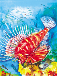 Lionfish