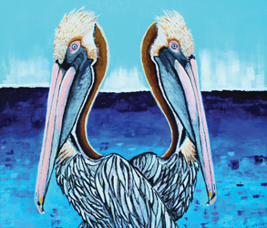 Pelicans