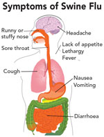 Swine flu symptoms