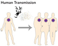 the spread the spread