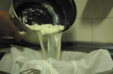 Strain the whey Strain the whey